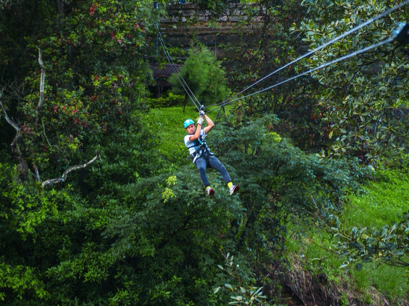 Persona recorriendo un canopy con casco y arnés sobre la vegetación