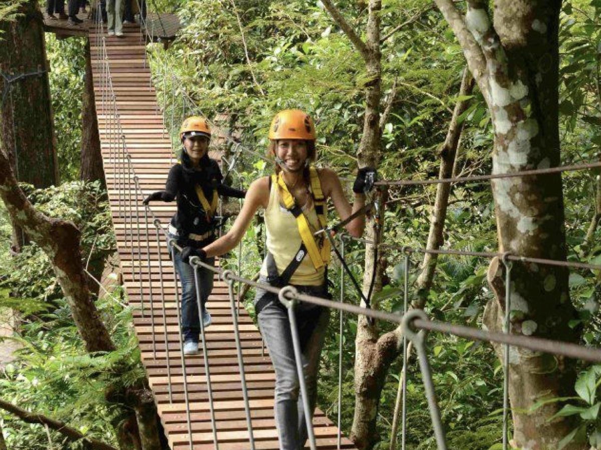 Visitantes con casco y arnés cruzando un puente colgante de madera entre los árboles